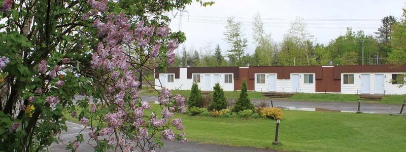 lilac in front of motel